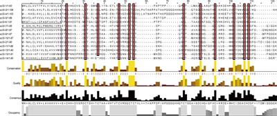 Genome Wide Identification and Expression Profiling Indicate Expansion of Family I84 Protease Inhibitor via Gene Tandem Duplication and Divergence in Razor Clam Sinonovacula constricta